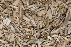 biomass boilers Thornroan